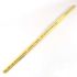 Charlotte Pipe 1/2 In. X 10 Ft. CPVC SDR11 Pipe, Plain End, Corrosion-Resistant, for Hot and Cold Water Distribution