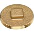 Oatey 2 in. Brass Threaded Cleanout Plug