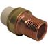 NIBCO 3/4 in. CPVC-CTS and Copper Slip x MIPT Transition Union