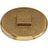 Oatey 4 in. Brass Threaded Cleanout Plug