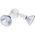 Lithonia Lighting 2-Lamp Outdoor White Flood Light