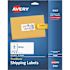 Avery 2 in. x 4 in. White Shipping Labels with Trueblock Technology (250 per Pack)