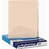 Esselte Pendaflex Corp. PENDAFLEX THREE-HOLE PUNCHED INDEX FOR BINDER, 1/5 CUT, 5-TAB, MANILA, 100/BOX