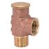 Proplus 1/2 in. 75 lbs. Lead-Free Heavy-Duty Pressure Relief Valve Spring Load