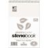 ROARING SPRING PAPER PRODUCTS ENVIROSHADES STENO NOTEBOOK, GREGG, 6 IN. X 9 IN., GRAY, 80 SHEETS PER PAD, 4 PER PACK