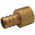 Zurn 3/4 in. ABS Female Sweat x 3/4 in. Barb PEX Copper Sweat Female Adapter
