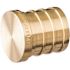 Zurn 3/4 in. Dia. x .78 in. L PEX Brass Test Plug