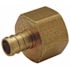 Zurn PEX Brass Female Pipe Thread Adapter 1/2 in. Barb x 1/2 in. FPT, Lead Free (50-pack)