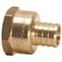 Zurn 3/4 in. Barb x 3/4 in. FPT Brass Female Non- Swivel) Pipe Thread Adapter