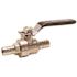 Zurn 3/4 in. Dia x 5 in. L PEX Brass Ball Valve with Tee Handle