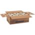enMotion 8 in. 1-Ply Brown Recycled Towel Roll (700 ft./6-Rolls per Case)