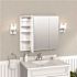 Zenna Home 36 W X 30 In H Surface-Mount Tri-View Bevel Mirror Medicine Cabinet