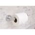 Premier Essen Toilet Paper Holder in Chrome
