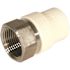 KBI 3/4 in. CPVC CTS FPT x Socket Lead Free Stainless Steel Transition Adaptor