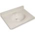 Premier 49 in. x 22 in. Custom Vanity Top Sink in White Swirl