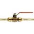 SharkBite 1/2 in. Brass Push-to-Connect Ball Valve