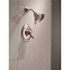 Delta Victorian 1-Handle Wall Mount Shower Faucet Trim Kit in Stainless (Valve Not Included)