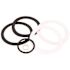 Premier COMMERCIAL STRAINER REPAIR KIT