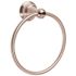 Premier Muir Towel Ring in Brushed Nickel