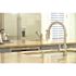 Premier Essen Single-Handle Pull-Down Sprayer Kitchen Faucet with Soap Dispenser in PVD Brushed Nickel