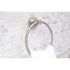 Premier Essen Towel Ring in Brushed Nickel