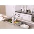 Premier Bayview Single-Handle Pull-Out Sprayer Kitchen Faucet in Chrome