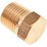 1/4 in. Brass HEX Head Plug