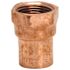 Mueller Streamline 1/2 in. Copper C x FIP Female Adapter