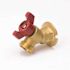 ProLine Series 1/2-in FIP Brass 1/4-Turn Sillcock