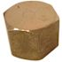 Sioux Chief 1/2 in. Brass FPT Cap
