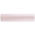 Watts Sediment Filter 5 Micron Water Filter Cartridge