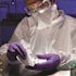 Kimtech  Purple Nitrile Exam Gloves, Ambidextrous, Large, 100 Gloves per Box