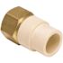 Proplus 1/2 in. CPVC Socket x 1/2 in. FIP, Lead Free CPVC/Brass Transition Adapter
