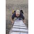 Werner 24 ft. Aluminum Extension Ladder (23 ft. Reach Height) with 250 lbs. Load Capacity Type l Duty Rating