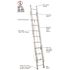 Werner 32 ft. Aluminum Extension Ladder (31 ft. Reach Height) with 250 lb. Load Capacity Type I Duty Rating