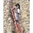 Werner 16 ft. Fiberglass Extension Ladder (15 ft. Reach Height) with 300 lb. Load Capacity Type IA Duty Rating