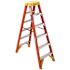 Werner 6 ft. Fiberglass Twin Step Ladder with 300 lbs. Load Capacity Type IA Duty Rating