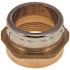 DuraPro Trap Adapter, 1-1/2 in. x 1-1/2 in. Brass