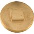 Proplus 0.18 in. x 3 in. Low Hollow Square Head Souther Code Brass Plug