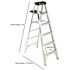 Werner 6 ft. Aluminum Step Ladder (10 ft. Reach Height) with 300 lb. Load Capacity Type IA Duty Rating