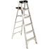 Werner 6 ft. Aluminum Step Ladder (10 ft. Reach Height) with 300 lb. Load Capacity Type IA Duty Rating