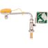 AXION AXION MSR Sink Mount Eye/Face Wash