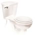 Fluidmaster Universal Toilet Tank Lever in Chrome