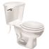 Fluidmaster Universal Toilet Tank Lever in Chrome