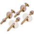 PROPLUS Closet Bolt and Screw Set