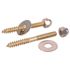 ProPlus 1/4 in. x 2-1/2 in. Closet Screws Brass Plated