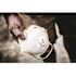 3M 8511 N95 Sanding and Fiberglass Disposable Respirator with Cool Flow Valve (1-Pack)