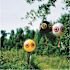 Bird-X Scare Eye Bird Chaser Bird Repellent Scarecrow Decoy (3-Pack)