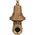 Wilkins 3/4 in. 70XL Pressure Reducing Valve with Double Union FNPT Connection