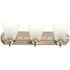 Hampton Bay Tavish 24 in. 3-Light Brushed Nickel Classic Vanity with Frosted Glass Shade